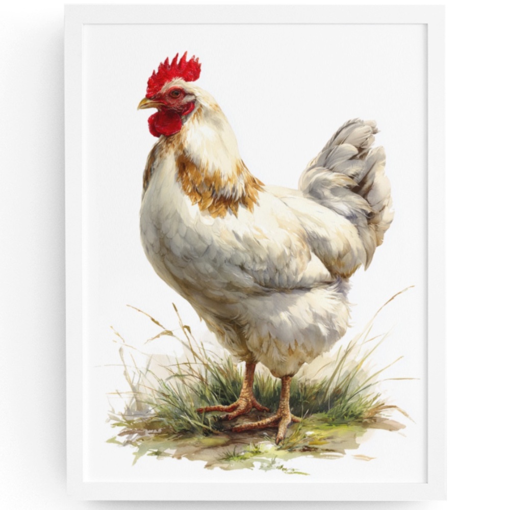 Watercolor White Chicken Portrait Wall Art Print Poster, Unframed – Rustic Charm